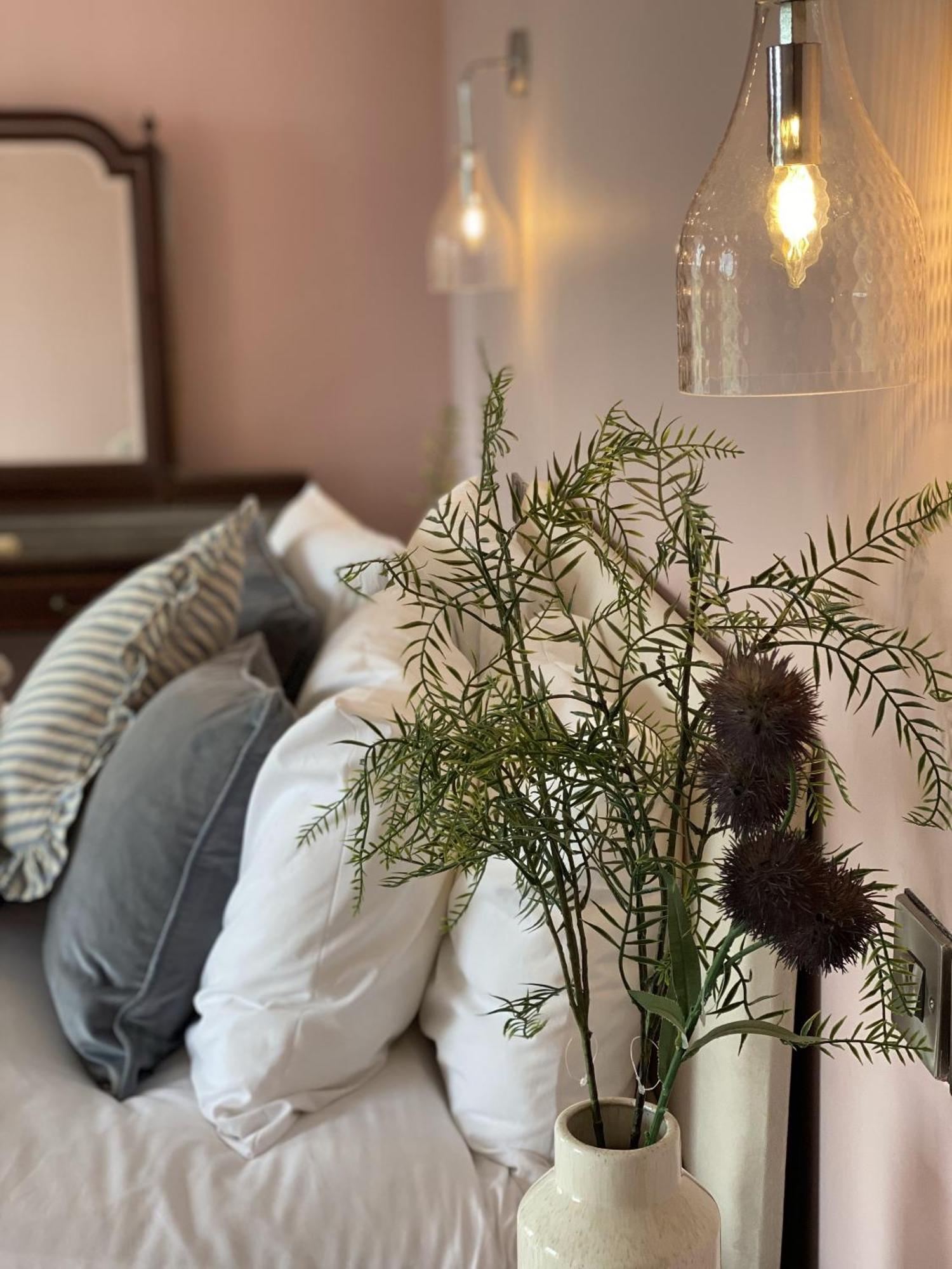 Maes Y Neuadd 탈사나 외부 사진